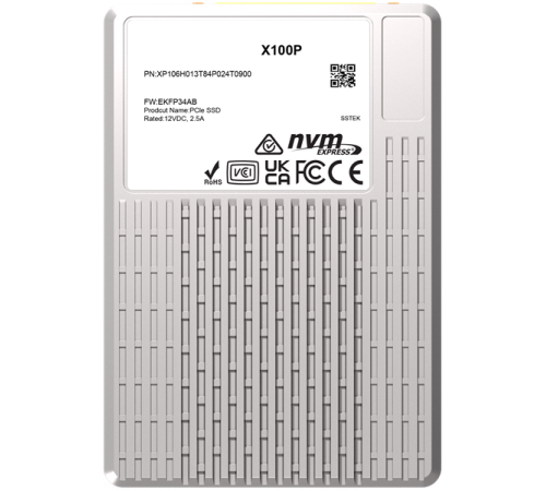 Накопитель SSD PHISON X100P 3840GB NVMe U.3 (15mm) PCIe NVMe Gen4 1x4 R7400/W6900MB/s 3D TLC 1750K/190K IOPS 1DWPD single port  SSD Enterprise Solid State Drive, 1 year, OEM
