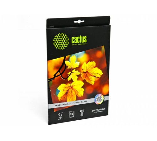Фотобумага Cactus Prof CS-HGA426020 A4/260г/м2/20л./белый глянцевое для струйной печати Фотобумага Cactus Prof CS-HGA426020 A4/260г/м2/20л./белый глянцевое для струйной печати