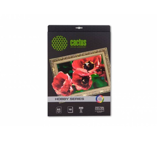 Холст Cactus CS-CA326010 A3/300г/м2/10л./белый для струйной печати