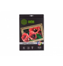 Холст Cactus CS-CA426010 A4/300г/м2/10л. для струйной печати
