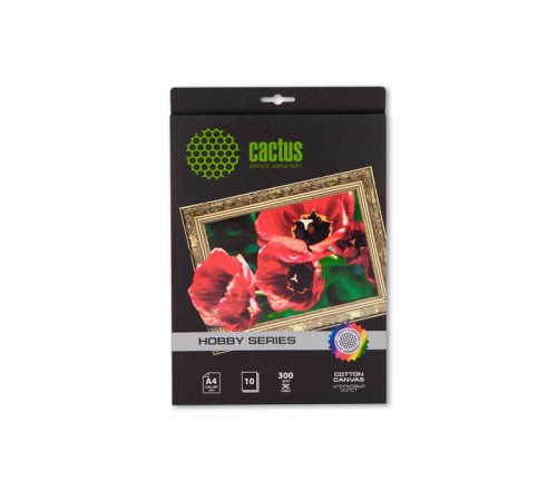 Холст Cactus CS-CA426010 A4/300г/м2/10л. для струйной печати
