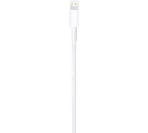 Кабель Apple ME291ZM/A Lightning (m) USB 2.0 (m) 0.5м белый Кабель Apple ME291ZM/A Lightning (m) USB 2.0 (m) 0.5м белый