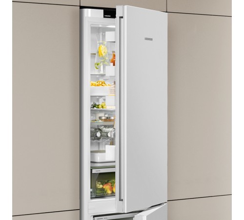 Холодильник Liebherr Холодильник однокамерный Liebherr Rf 5000-20 001