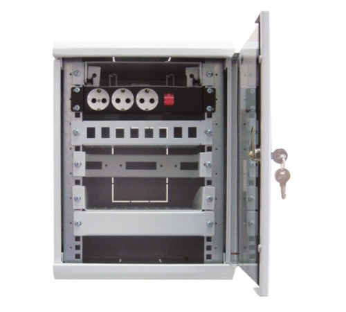 Шкаф коммутационный ЦМО ШРН-8.255-10 8U 320x305мм пер.дв.стекл серый Шкаф коммутационный ЦМО ШРН-8.255-10 8U 320x305мм пер.дв.стекл серый