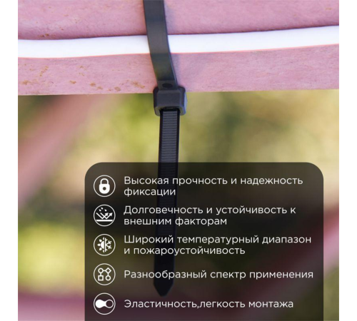 Rexant (07-0303) Хомут широкий nylon 8.0 х 300 мм 100 шт черный Rexant (07-0303) Хомут широкий nylon 8.0 х 300 мм 100 шт черный