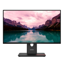 Монитор Lenovo T24i-40 *