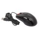 Мышь A4Tech X-710BK черный оптическая (2000dpi) USB (7but)