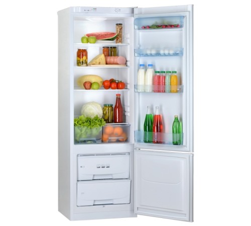 Холодильник Pozis RK-103 белый (двухкамерный)