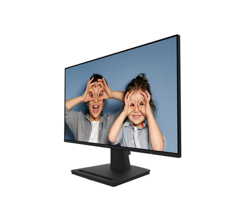 Монитор 24.5" MSI Pro MP252 IPS 1920x1080, 100 Гц, 1 мс, 16:9, 300 кд/м², HDMI, DP, 3.5 Jack, динамики (2x2 Вт), черный