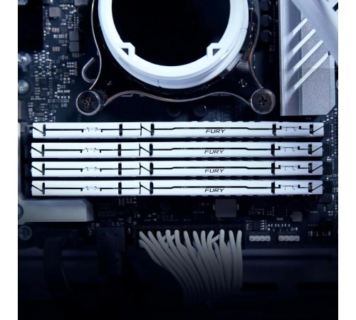Память оперативная Kingston FURY Beast KF556C40BWK4-64