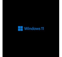 Лицензия OEM Windows 11 Pro 64-bit English 1pk DSP OEI DVD (FQC-10529)