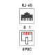 Rexant (03-0121) Розетка компьютерная внешняя 1-порт, UTP RJ-45 (8P8C), CAT 5e