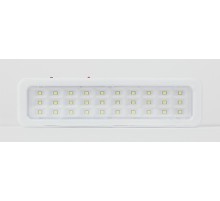 Светильник светодиодный аварийный постоянный DBA-105-0-20 30LED 5ч IP20 (40/1600) ЭРА Б0044398