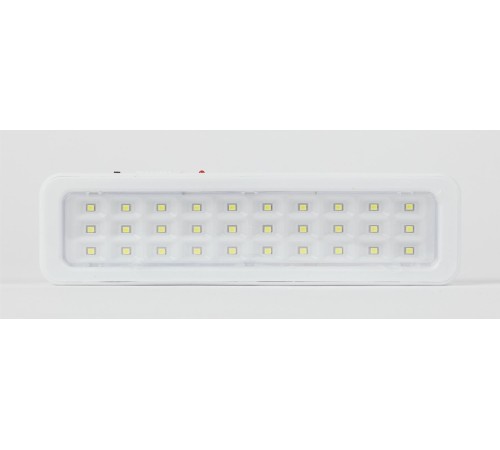 Светильник светодиодный аварийный постоянный DBA-105-0-20 30LED 5ч IP20 (40/1600) ЭРА Б0044398