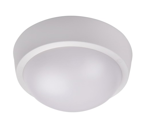 Светильник светодиодный ДБП-30Вт 4000К 2250Лм IP65 jazzway JazzWay 5020801