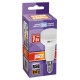 Лампа светодиодная PLED-SP R50 7Вт 5000К холод. бел. E14 540лм 230В JazzWay 1033635