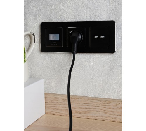 BRITE Розетка USB A+A 3.1А РЮ10-1-БрЧ черный