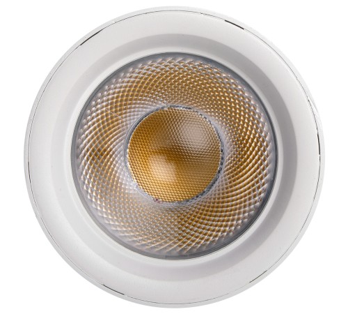 Светильник светодиодный трековый на шинопровод ДПО-30w 4000K 24° WH (белый) IP40 jazzway JazzWay 5010642