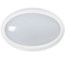Iek LDPO0-5040-12-4000-K01 Светильник LED ДПО 5040 12Вт 4000K IP65 овал белый