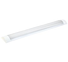 Iek LDBO0-5001-18-4000-K02 Светильник LED ДБО 5001 18Вт 4000К IP20 600мм металл {аналог люм.свет. 2х18, 600х70х27 мм, металл. корпус }