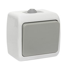 EKF EFV10-021-30-54 Мурманск Выключатель 1 -клавишный 10А IP54 серый EKF