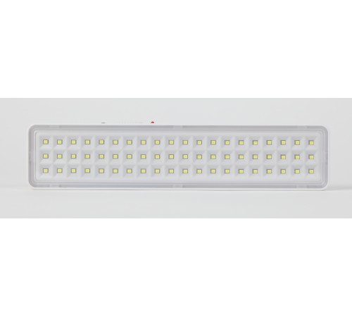 Светильник светодиодный аварийный непостоянный DBA-103-0-20 60LED 5ч IP20 (40/1600) ЭРА Б0044396