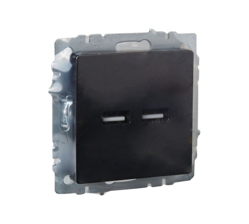 BRITE Розетка USB A+A 3.1А РЮ10-1-БрЧ черный