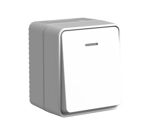 AtlasDesign PROFI IP54 открытой установки 1-клавишный выключатель с подсветкой 10 АХ, серый