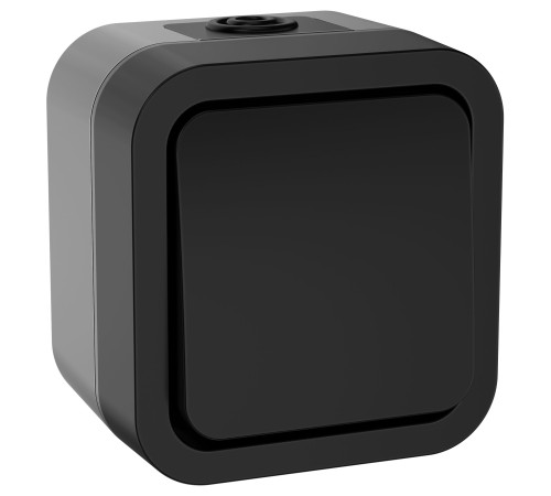 Выключатель кнопочный TORS 10А IP55 графит
