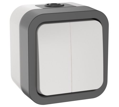Выключатель двухклавишный TORS 10А IP55 белый