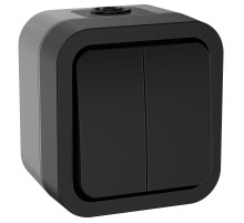 Выключатель двухклавишный TORS 10А IP55 графит