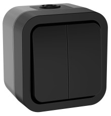 Выключатель двухклавишный TORS 10А IP55 графит