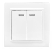 EKF ERV10-123-10 Минск Выключатель 2-клавишный СП с индикатором,10А, белый EKF Basic