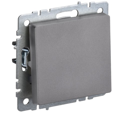 IEK BR-V12-0-10-K46 BRITE Выключ. 1-кл. прох. 10А ВС10-1-6-БрС сталь IEK BR-V12-0-10-K46 BRITE Выключ. 1-кл. прох. 10А ВС10-1-6-БрС сталь