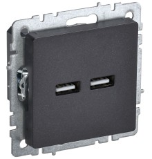 BRITE Розетка USB A+A 3.1А РЮ10-1-БрЧ черный