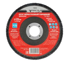 Круг лепестковый торцевой, P 120, 125 х 22,2 мм// Matrix