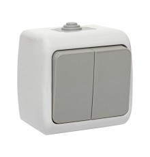 EKF EFV10-023-30-54 Мурманск Выключатель 2-клавишный 10А IP54 серый EKF