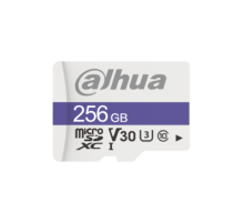 Карта Памяти Dahua DHI-TF-C100/256GB C100 microSD Read 95 MB/s C10/U3/V30 256 GB
