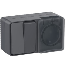 Systeme electric ATN544074 AtlasDesign Profi54 О/У БЛОК: розетка с заземлением со шторками 16А 250B, выключатель двухклавишный IP54 10А, АНТРАЦИТ, Россия