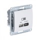 GLOSSA USB РОЗЕТКА A + тип-C 45W высокоскор.заряд. QC, PD, механизм, БЕЖЕВЫЙ