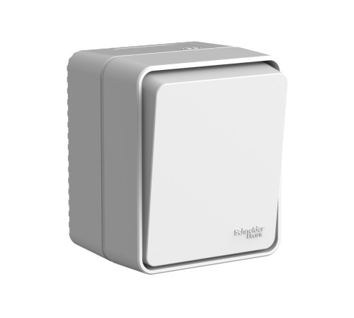 AtlasDesign PROFI IP54 открытой установки 1-клавишный выключатель с самовозвратом 10 АХ, серый