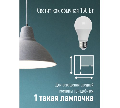 Лампа светодиодная LED 20Вт 220В Е27 D60х118 6500К холодный A60