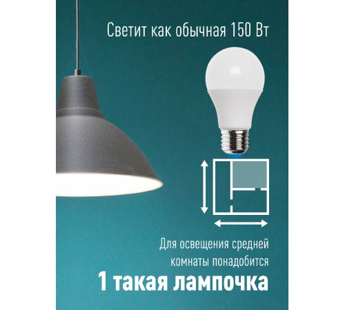 Лампа светодиодная LED 25Вт 220В E27 D65х130 6500К холодный A65