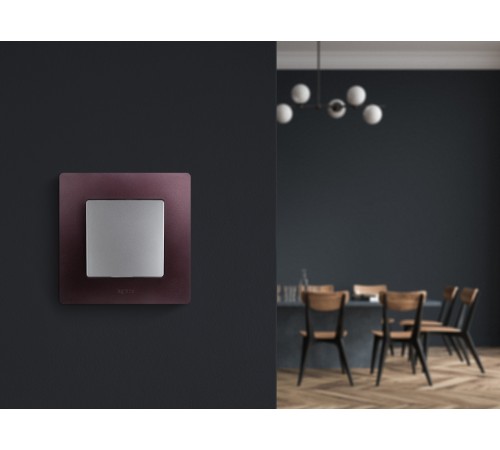 Выключатель одноклавишный, автоматические клеммы, Etika, 10AX, 250В~, алюминий Legrand 672401