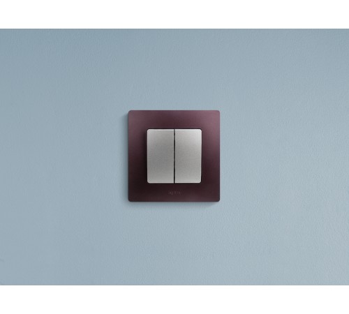 Выключатель двухклавишный, автоматические клеммы, Etika, 10AX, 250В~, алюминий Legrand 672402