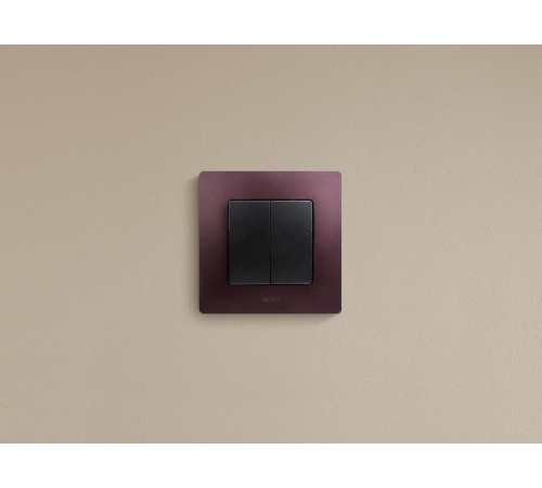 Выключатель двухклавишный, автоматические клеммы, Etika, 10AX, 250В~, антрацит Legrand 672602