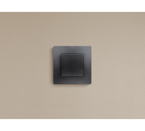 Выключатель одноклавишный, автоматические клеммы, Etika, 10AX, 250В~, антрацит Legrand 672601