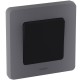 Legrand 673603 Выключатель одноклавишный - INSPIRIA - 10 AX - 250 В~ - антрацит