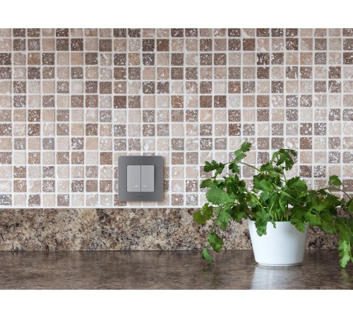 Legrand 673632 Выключатель двухклавишный с подсветкой/индикацией - INSPIRIA - 10 AX - 250 В~ - алюминий Legrand 673632 Выключатель двухклавишный с подсветкой/индикацией - INSPIRIA - 10 AX - 250 В~ - алюминий