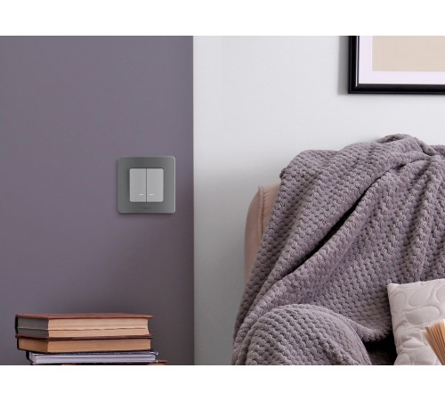 Legrand 673632 Выключатель двухклавишный с подсветкой/индикацией - INSPIRIA - 10 AX - 250 В~ - алюминий Legrand 673632 Выключатель двухклавишный с подсветкой/индикацией - INSPIRIA - 10 AX - 250 В~ - алюминий